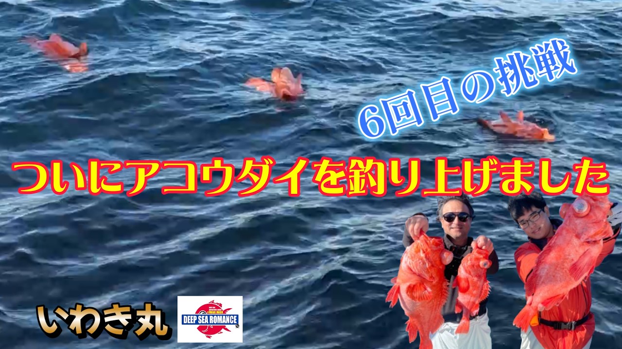 【アコウダイ】深海Xデーだったのか？ついに釣れました！【いわき丸】