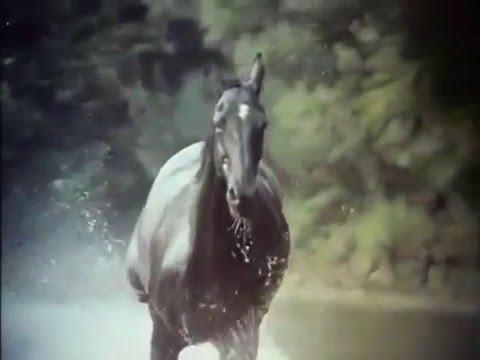 The Adventures of Black Beauty Opening and Closing Theme 1972 - 1974