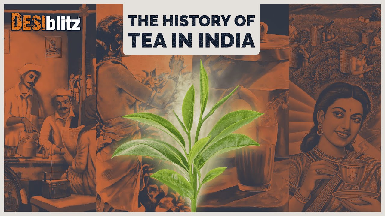 Tea Evolution Chai Wallahs to Global Brews | India's Tea Evolution - YouTube