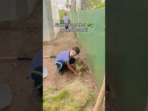 Video Mamitas que se ponen la 10 - Siembra un árbol y aprende con él