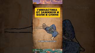 Гимнастика от зажимов и боли в спине. #здоровье #долголетие #поясница #упражнения #спина