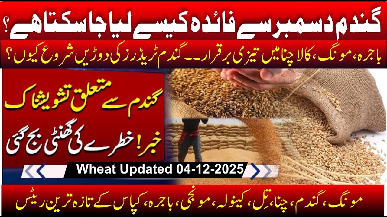 Today wheat rate in pakistan | Bajra rate today | Moong price | Guar ...