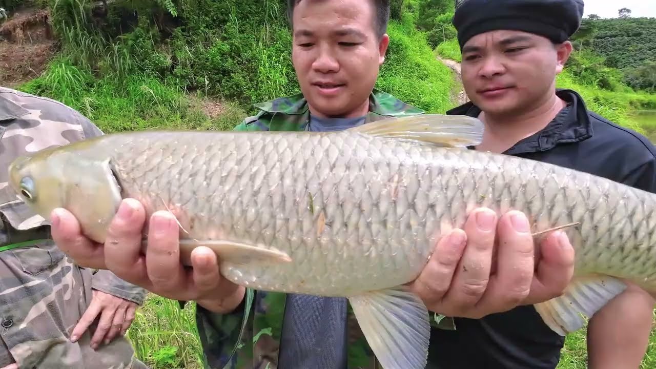 Gỏi cá | Nhịp Sống Tây Bắc