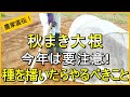 【秋まき大根】種まき後にコレやるだけで成功率が大幅UPします【有機農家直伝!無農薬で育てる家庭菜園】 25/9/2