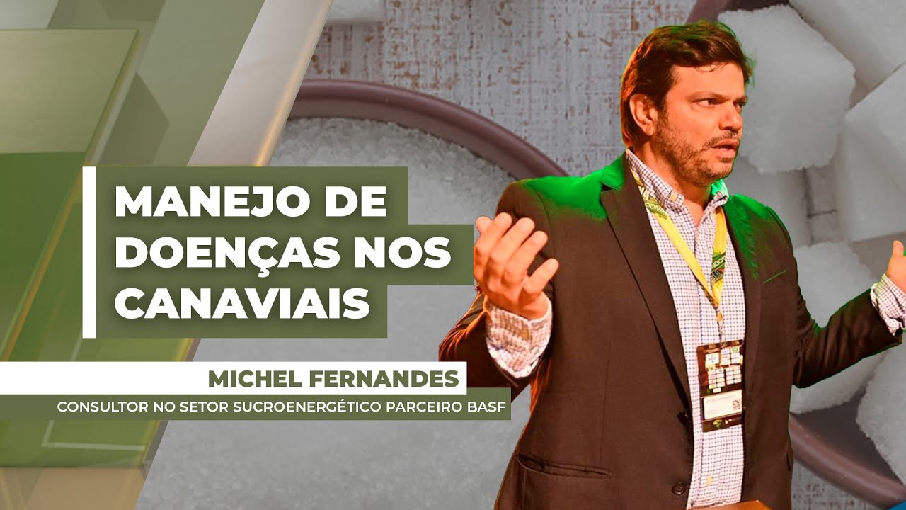 Manejo de doenças da cana-de-açúcar favorecem incremento de produtividade