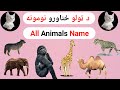 Learn All Animals Name In Pashto Learn English In Pashto English To Pashto Language 