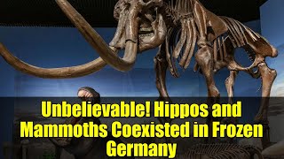 Unbelievable Hippos And Mammoths Coexisted In Frozen Germany