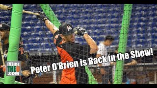 Peter O'Brien 1st Batting Practice Back in MLB | Miami Marlins
