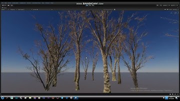 Horror Trees wind in Unity  HDRP (PhotoScan Trees )