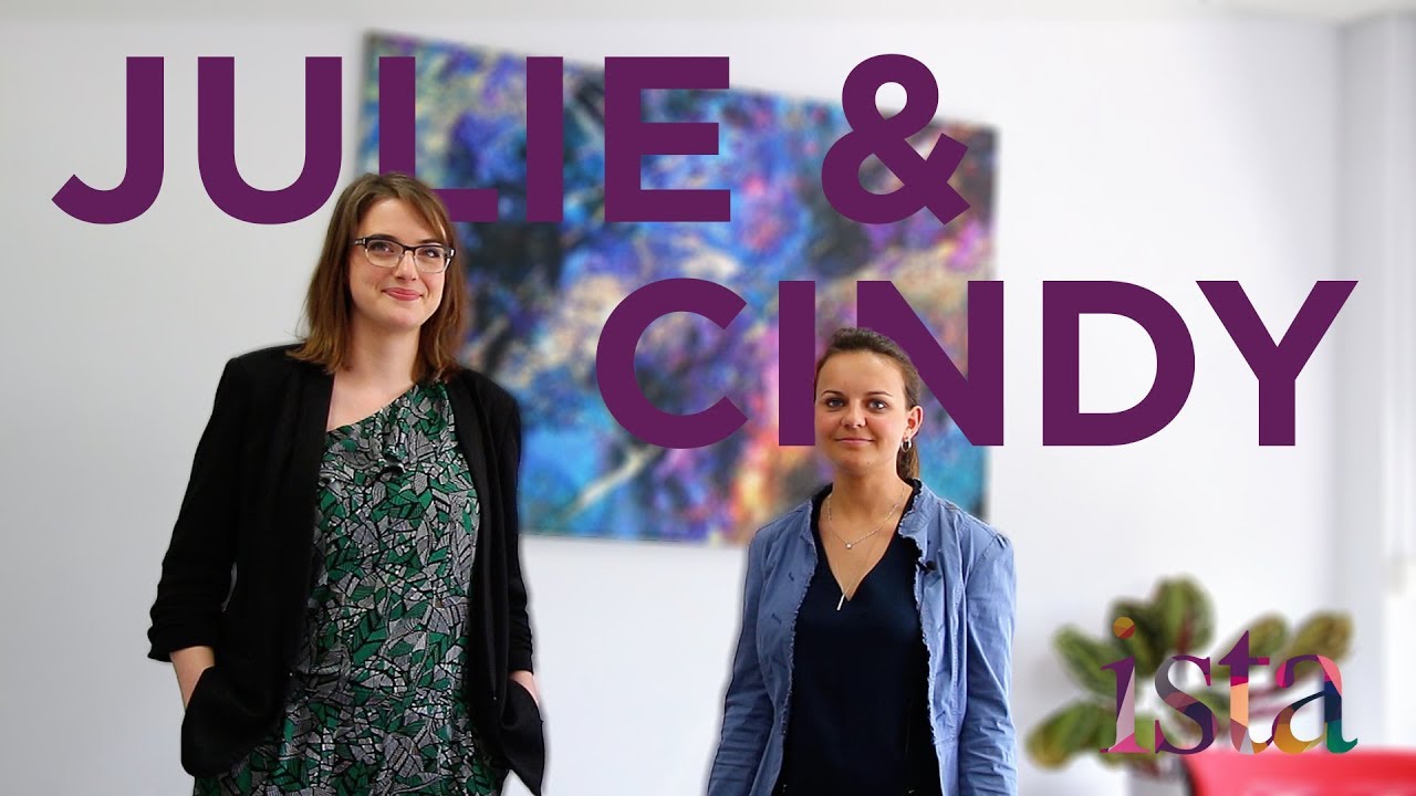 La formation continue pour se spécialiser dans le digital : témoignage de Cindy & Julie - SENFA