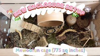 NEW NATURALISTIC ENCLOSURE SETUP || Mewoofun enclosure 🐭🐹🍂🌿 NEW NATURALISTIC ENCLOSURE SETUP || Mewoofun enclosure 🐭🐹🍂🌿