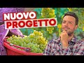 Ho COMPRATO 2500kg di UVA