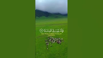 #قرآن #تلاوات #quran #fyp #viral #راحة_نفسية #تيك_توك #لايك #good#اكسبلور