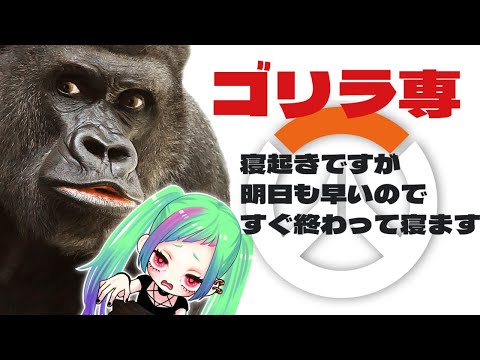 【ゴリラ専OW2】寝起きですがすぐ寝ないといけないので少しだけ…オーバーウォッチ２【※暴言注意】