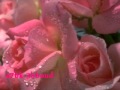 تناهى العشق