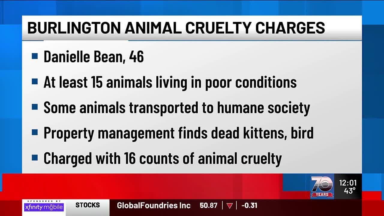 Burlington woman charged with animal cruelty - YouTube