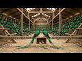 🌿✨ Resplendent Quetzal Mega Farm ASMR | Complete End-to-End Growth Journey – Professional Farming 🐦🌾