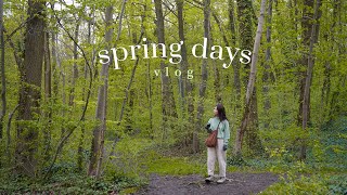 Đi dạo mùa xuân • Ngắm cảnh, chụp ảnh • Spring days VLOG