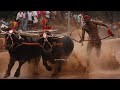 Baradi Beedu Kambla’23✨#kambla #baradi #tulunadu #dakshinakannada#buffalorace