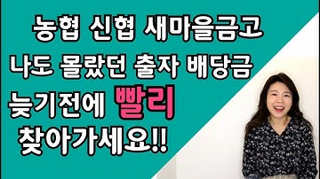 농협 신협 새마을금고 숨어있는  출자금 과 배당금  쉽게 찾는 방법[금고엄마]