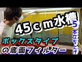 アクアリウム貰った大磯砂で45㎝水槽5本立ち上げボックスタイプの底面フィルター【熱帯魚/水草/aquarium 】