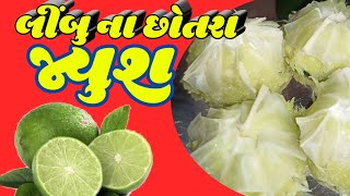 લીંબુનો રસ કાઢવાની ગજબની ટ્રીક / lemon juice magic trick lemon juice recipe