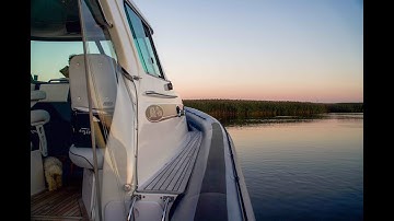 Swallow Murmuration Over Goose Island in Old Lyme Connecticut. HIGH QUALITY DSLR VIDEO