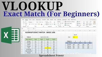 VLOOKUP Function Exact Match in Excel