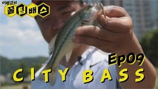 시티배스_도심하천 배스낚시[꿀팁배스 Ep09] Bass fishing in City