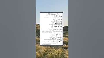 Surah At-Takathur (سورة التكاثر )