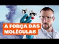 Quiz sobre Forças Intermoleculares