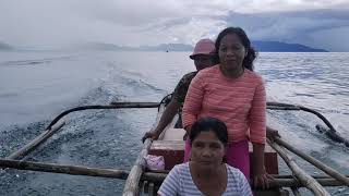 Talalora samar
