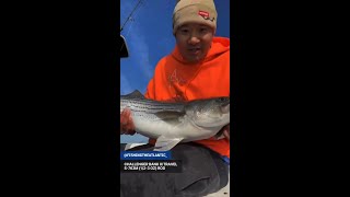 Self-service fishing by Kalvin! Black Hole USA Challenger Bank III Travel 763M Rod!
