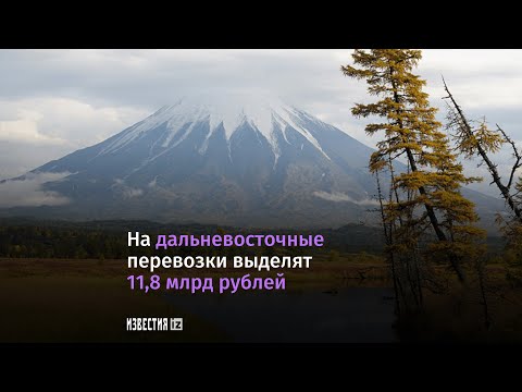 На дальневосточные перевозки за 2 года в РФ будет выделено 11,8 млрд рублей