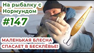 Маленькая БЛЕСНА СПАСАЕТ в бесклёвье / На рыбалку с Нормундом #147