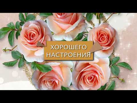 ✅Хорошего настроения✅