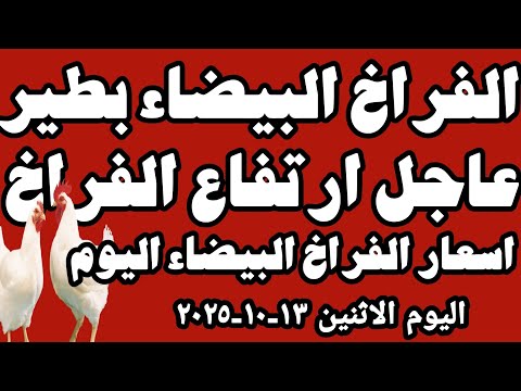 اسعار الفراخ البيضاء سعر الفراخ البيضاء اليوم الاثنين ١٣ ١٠ ٢٠٢٥ جمله وقطاعي في المحلات في مصر