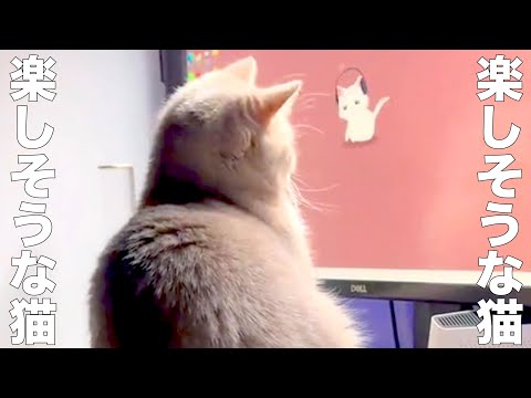 私はDくん - YouTube