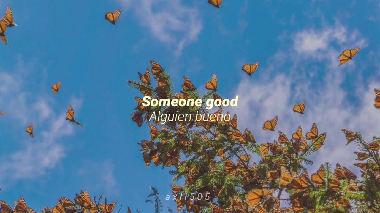 a perfect day subtitles a perfect day subtitles
