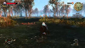 The Witcher 3 PS4 FPS drops in water??