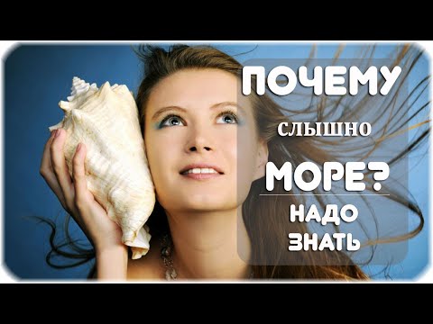 Почему в раковине слышно море?