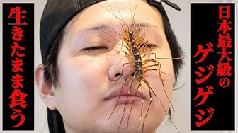 毒虫 Youtube