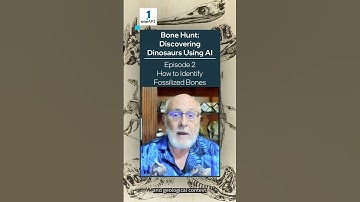 How to Identify Fossilized Bones | Bone Hunt: Discovering Dinosaurs with AI | Intel Software