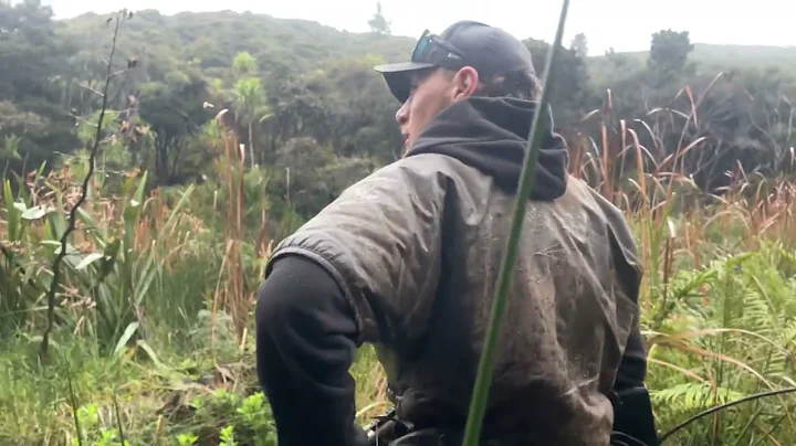 Another good boar for the pups pig hunting nz 2022