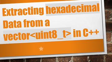 Extracting hexadecimal Data from a vector uint8_t  in C+ +