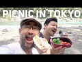 You Won’t Believe This is TOKYO | Picnic in OME