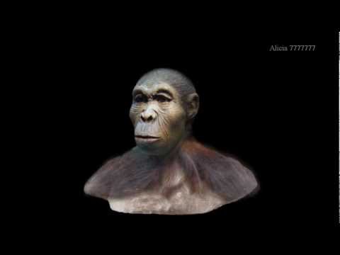 Video: Australopithecus - En Kobling Mellom En Ape Og En Mann - Alternativ Visning