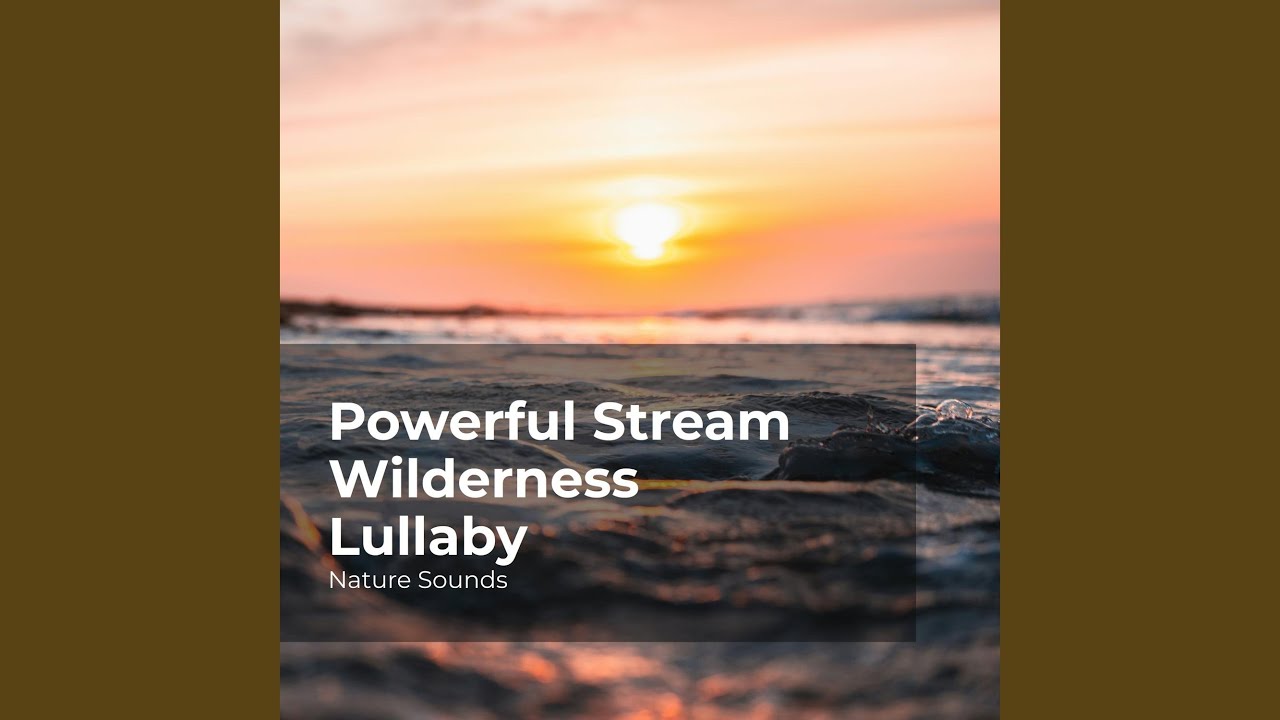 Powerful Stream Wilderness Lullaby