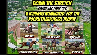 Caymanas park tips 6 runners nominated for the 4th running of the poorlittlerichgirl