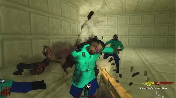 Call of Duty: World at War Zombies Temple Maze